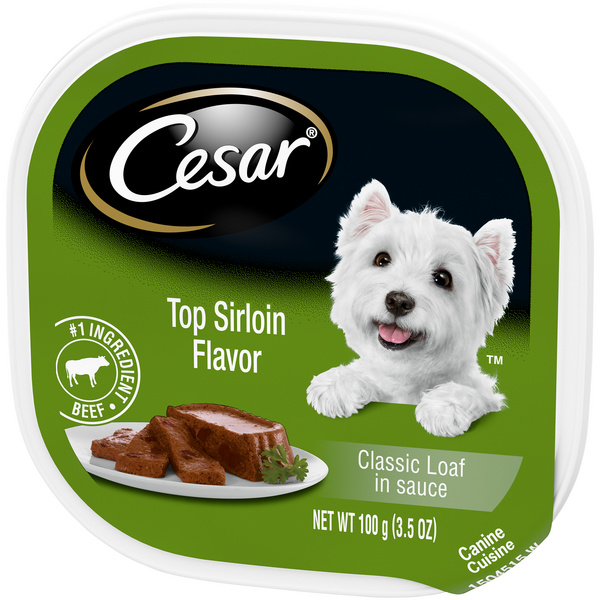 harry potter dog sweater Harry Potter main image 1