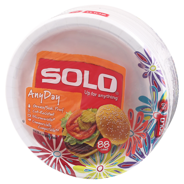  Solo Any Day Paper Plates, 10 Patterns May Vary (Pack of 2) :  Health & Household