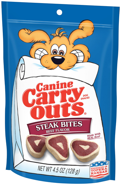 long haired double dapple dachshund