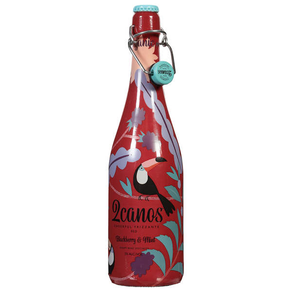 2Canos Cheerful Frizzante Red, Blackberry & Mint | Hy-Vee Aisles