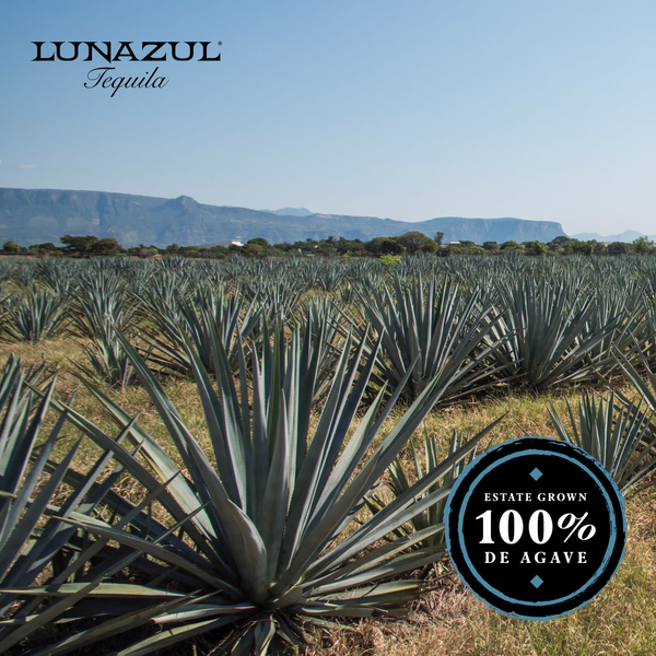 Lunazul Anejo Tequila | Hy-Vee Aisles Online Grocery Shopping
