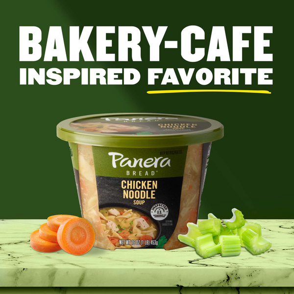 Panera Bread Chicken Noodle Soup, 10 Ounce -- 8 per Case 