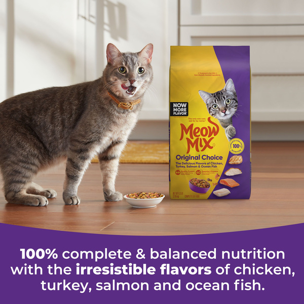 Meow Mix Original Choice Dry Cat Food | Hy-Vee Aisles Online