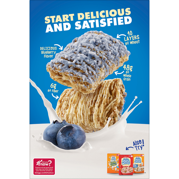 Blueberry Cereal  Kellogg's® Frosted Mini-Wheats®