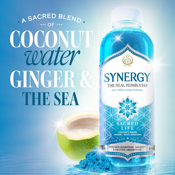 GT's Synergy Raw Elderberry Juniper Kombucha 16 fl oz | Hy-Vee