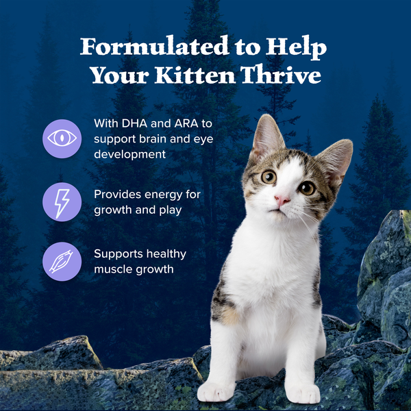 Blue Buffalo Wilderness Natural Kitten Dry Cat Food, with DHA and ARA to  Support Brain and Eye Development, High-Protein and Grain-Free Diet,  Chicken | Hy-Vee Aisles Online Grocery Shopping