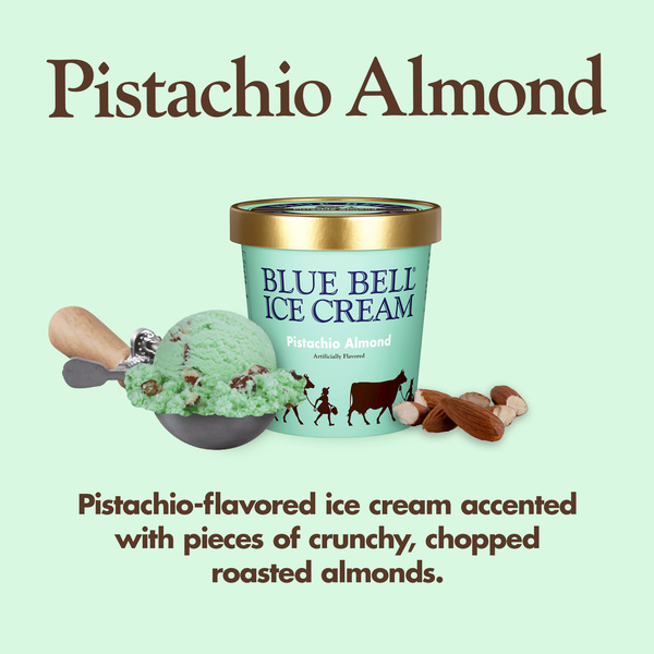 Blue Bell Pistachio Almond Ice Cream Pint, 16 fl oz | Hy-Vee